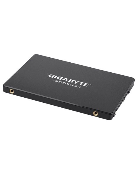 Gigabyte 1TB SSD, 2.5-Inch, SATA3, 550MBps (Read)/500MBps (Write), Black (GP-GSTFS31100TNTD)