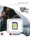 Kingston Canvas Select Plus SDXC 256GB Read 100MB/S Class 10 (SDS2/256GB)