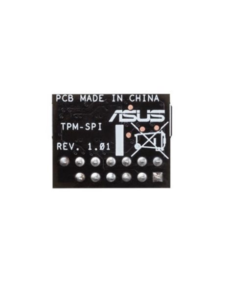 Asus TPM-SPI Card, 14-1 Pins, Black (90MC07D0-M0XBN0)