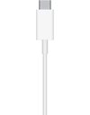Apple MagSafe Charger (MHXH3ZM/A)