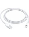 Apple Lightning to Regular USB Cable 1m, White (MXLY2ZM/A)