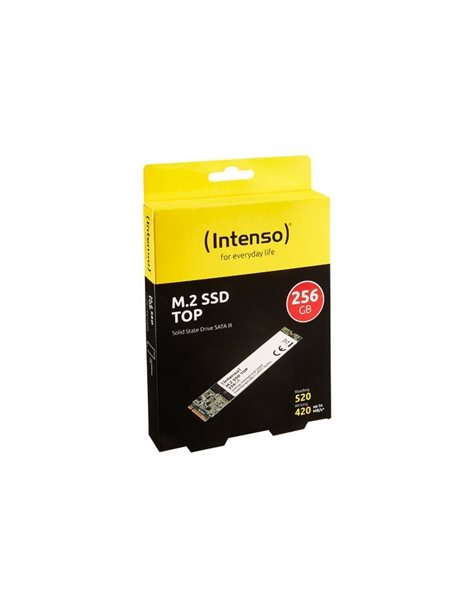 Intenso TOP 256 GB SSD, M.2 2280, SATA3, 520MBps (Read)/ 500MBps (Write) (3832440)