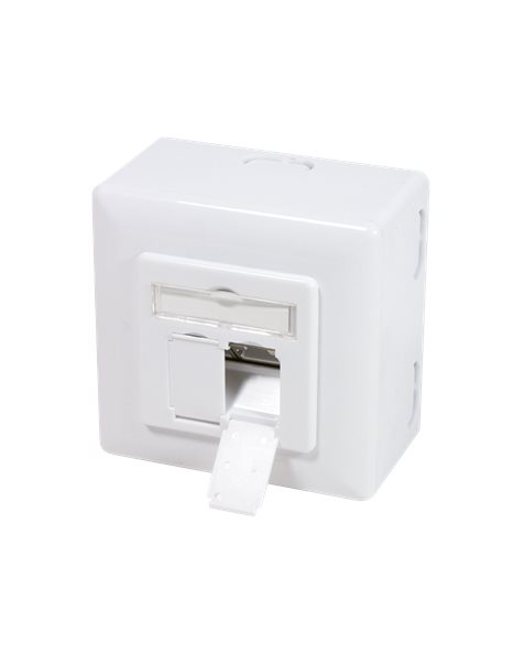LogiLink Cat.6A wall outlet 2xRJ45 shielded, w. backbox, signal white (NP0126)