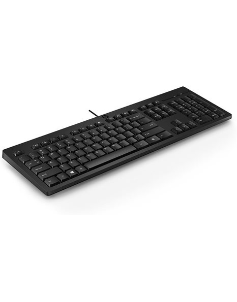 HP 125 Wired Keyboard, US Layout, Black (266C9AA)
