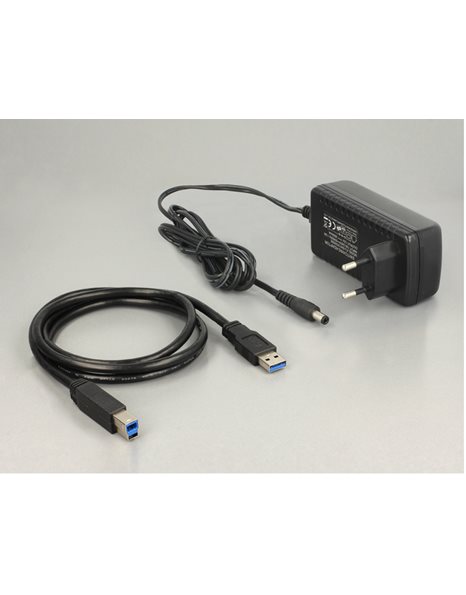 Delock Διπλός σταθμός βάσης SATA HDD σε USB 3.0 με λειτουργία κλωνοποίησης (62661)