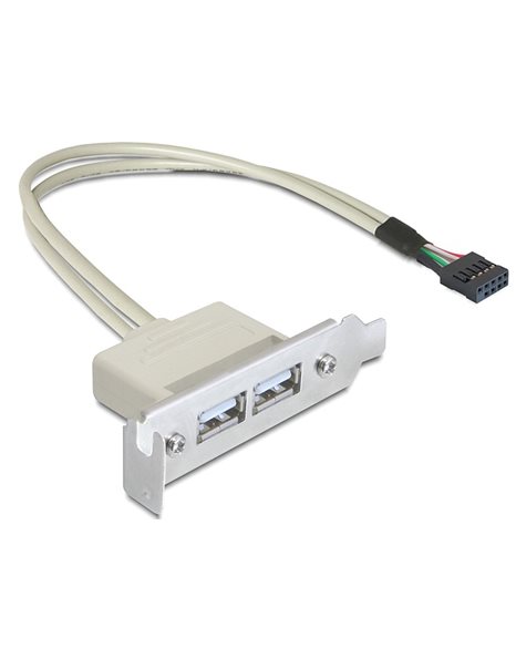 Delock Slot bracket USB 2.0 low profile 2 port (83119)