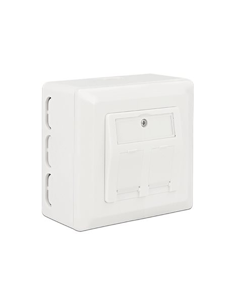 Delock Back Box for Keystone Wall Outlet (86128)