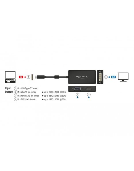 Delock Adapter USB Type-C (male) to VGA/HDMI/DVI (female), Black (63925